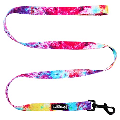 Welyeme Tie Dye No Pull Dog Harness and Leash Set for Small Medium Large Dogs, Rainbow Dog Harness